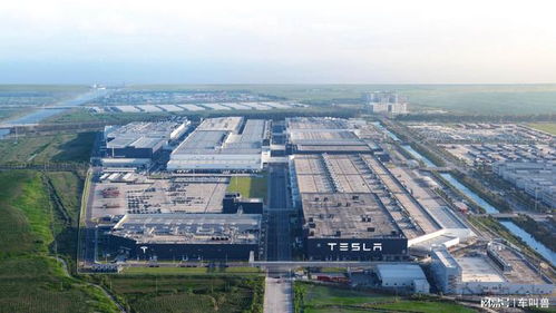 特斯拉逆勢漲價 與行業降價潮分道揚鑣的深層邏輯